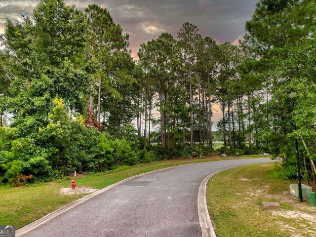 Land for sale in Waverly, Georgia