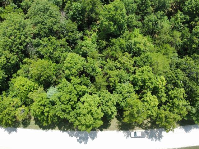 Land for sale in Tennessee