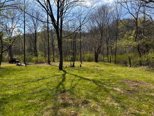 Land for sale in Livingston, Rockcastle County