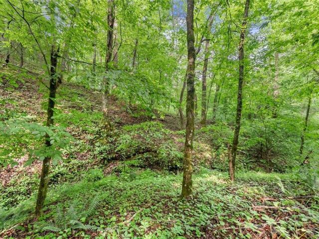 Land for sale in Dahlonega, Georgia