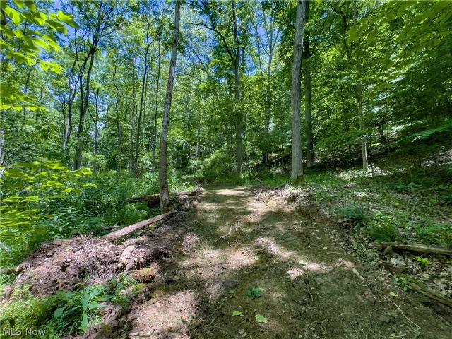Land for sale in Pomeroy, Ohio