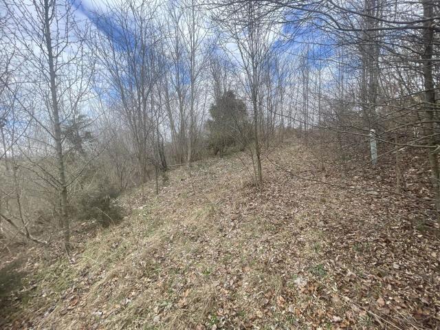 Land for sale in Summerfield, Fishersville