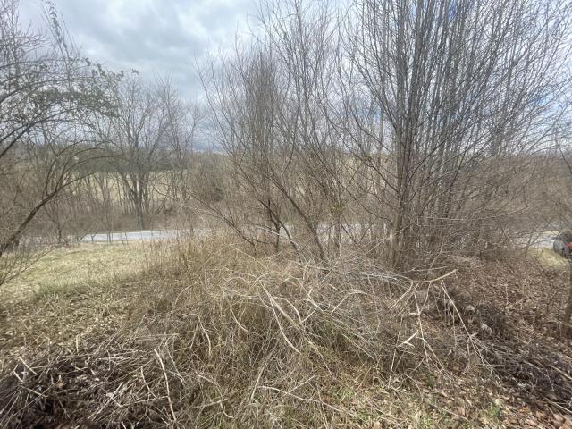 Land for sale in Virginia
