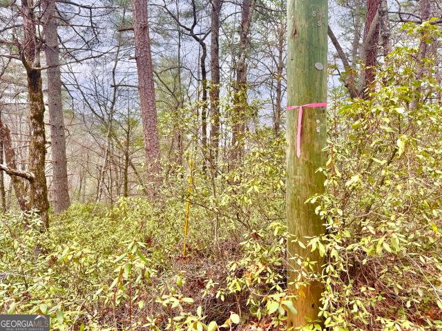 Land for sale in Georgia
