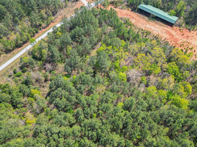 Land for sale in Elbert, Georgia