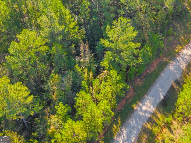 Land for sale in Elbert, Georgia
