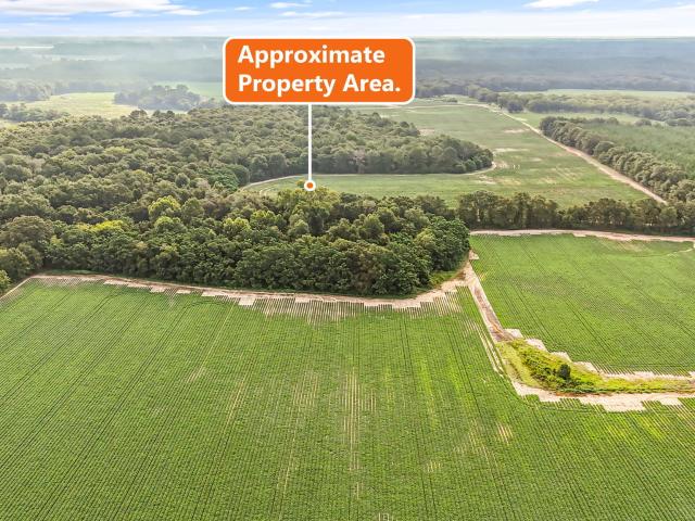 Land for sale in Vienna, Georgia