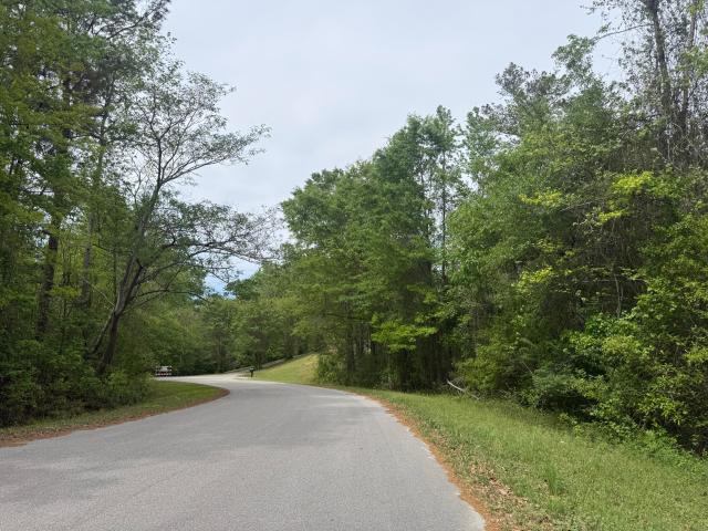 Land for sale in Saint Matthews, South Carolina