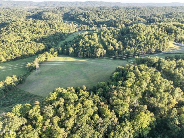 Land for sale in Tennessee