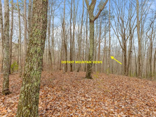 Land for sale in Lookout Mountain, Georgia