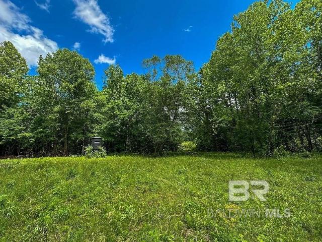 Land for sale in Evergreen, Alabama
