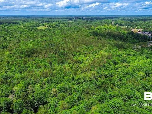 Land for sale in Evergreen, Alabama