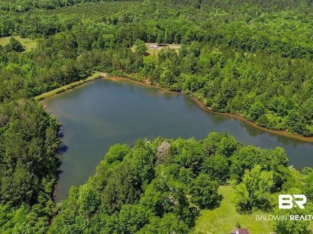 Land for sale in Evergreen, Alabama