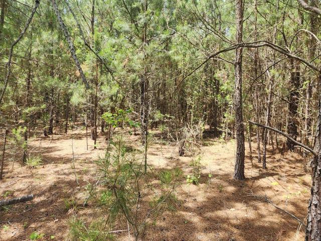 Property for sale in Reevesville, South Carolina