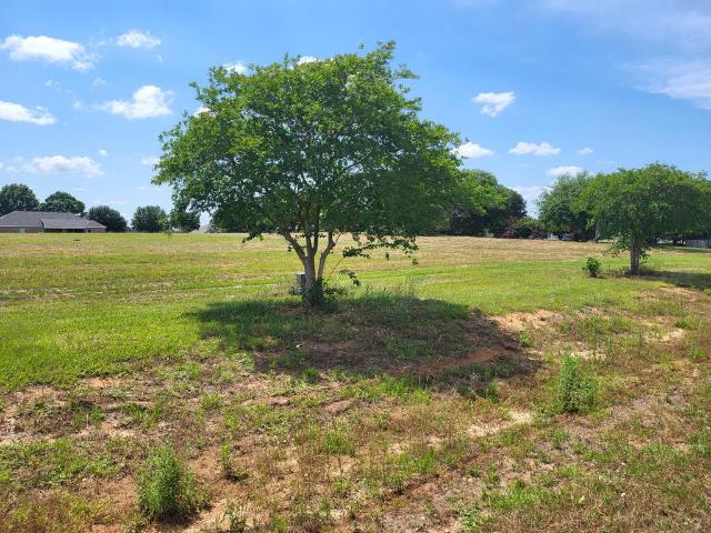 Land for sale in Headland, Henry County