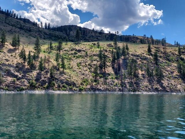 Land for sale in Omak, Washington