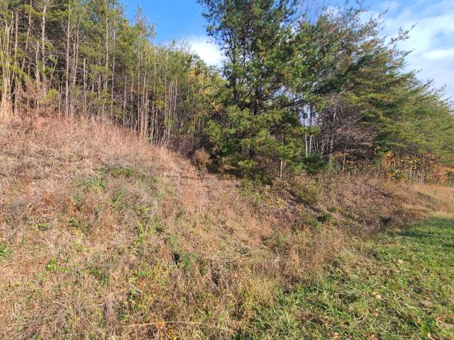 Land for sale in Virginia