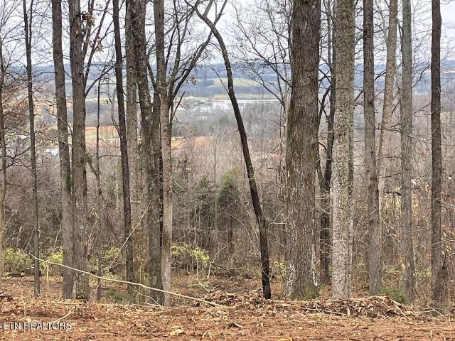 Land for sale in Tennessee
