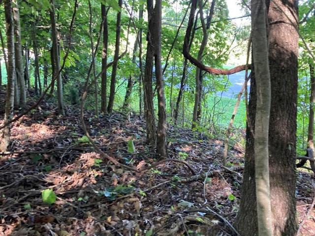 Land for sale in Lebanon Manor, Lebanon