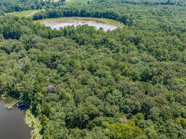Land for sale in Fort Gaines, Clay County