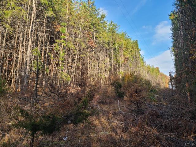Land for sale in Virginia