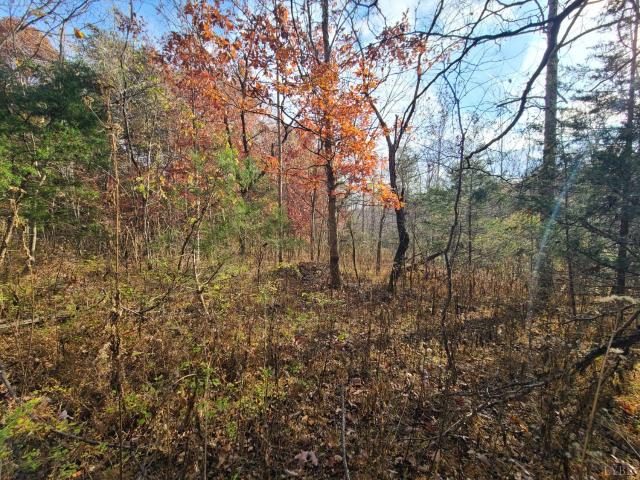 Land for sale in Virginia