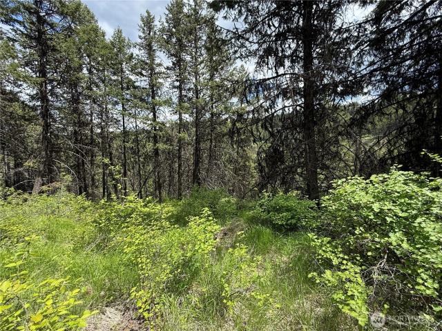 Land for sale in Republic, Washington