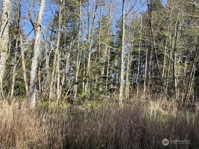 Land for sale in Freeland, Washington