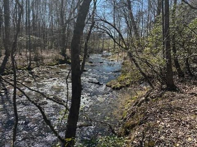 Land for sale in Gilmer, Georgia