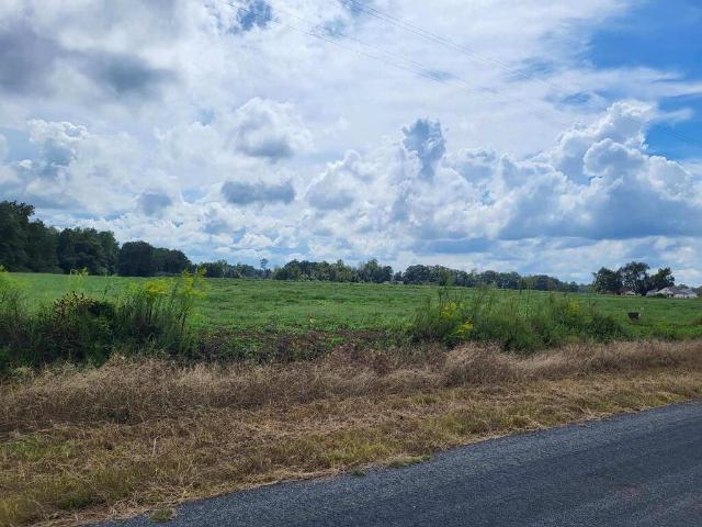 Land for sale in Ashford, Alabama