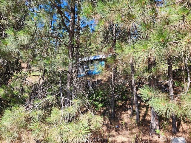 Land for sale in Republic, Washington