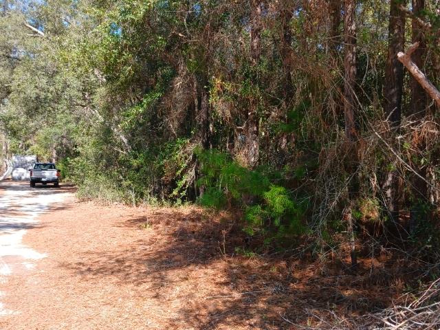 Land for sale in Folkston, Georgia