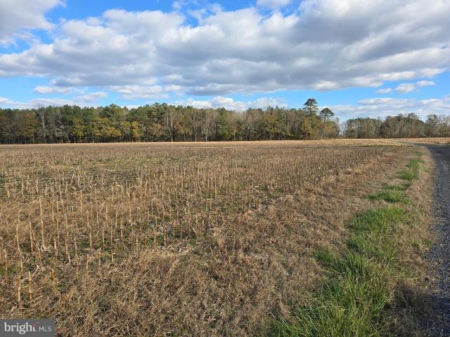 Land for sale in Wicomico, Maryland