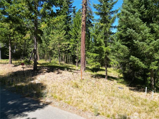 Land for sale in Cle Elum, Washington