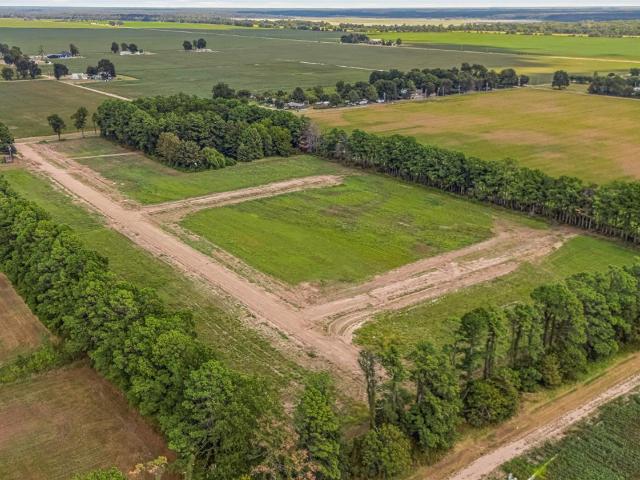 Land for sale in Manila, Mississippi County