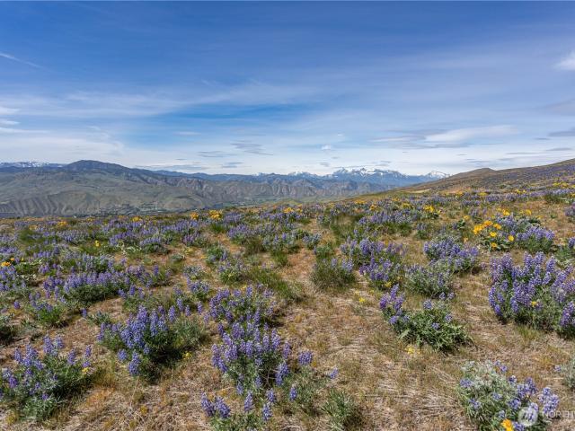 Land for sale in Wenatchee