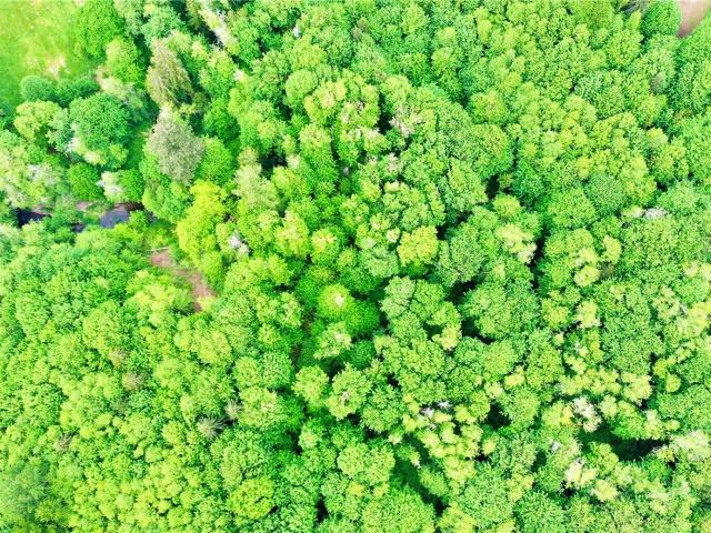 Land for sale in Belfair