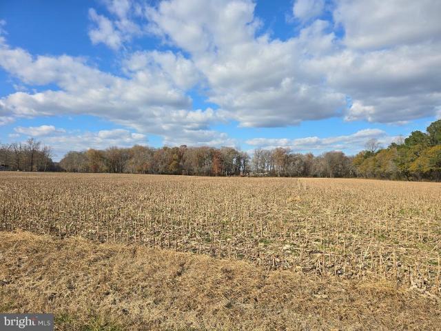 Land for sale in Wicomico, Maryland
