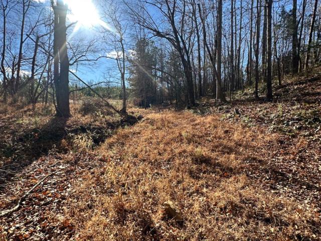 Land for sale in Virginia
