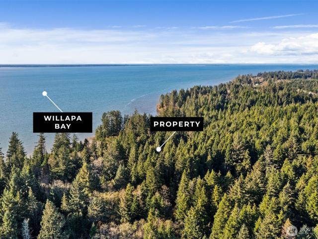 Land for sale in South Bend, Washington