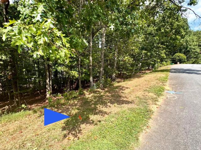 Land for sale in Moneta, Bedford County