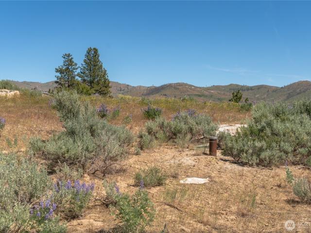 Land for sale in Washington