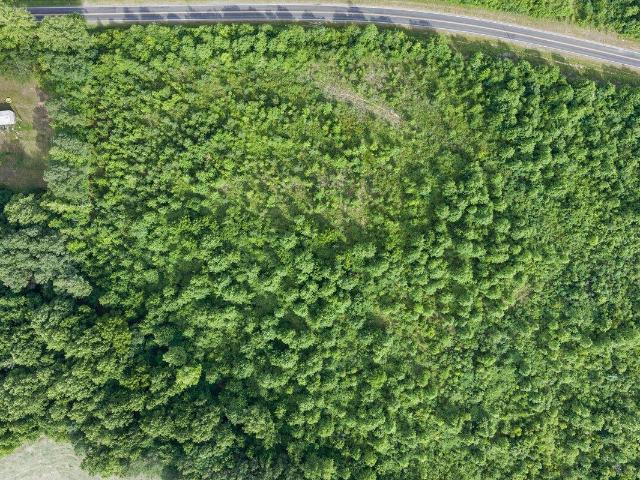 Land for sale in Norlina, North Carolina
