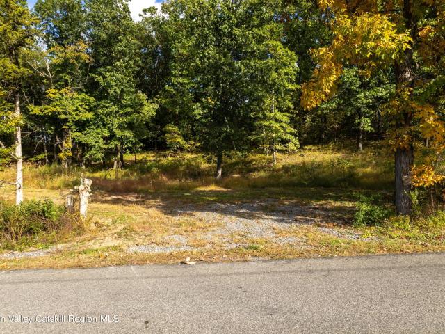 Land for sale in Town of Taghkanic, Columbia County