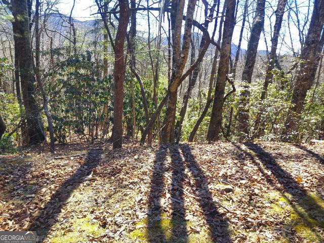 Land for sale in North Carolina
