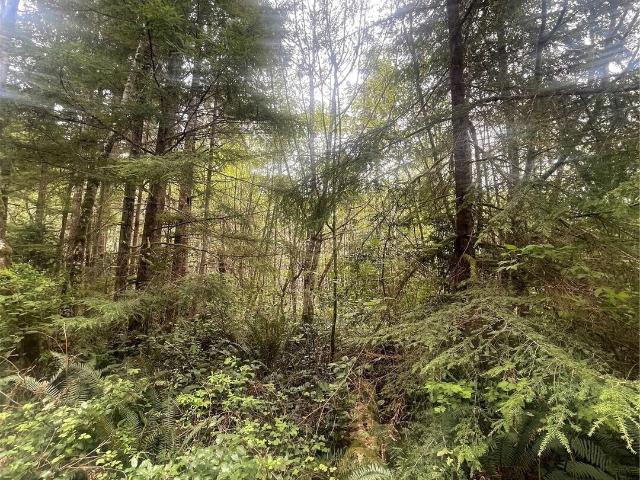 Land for sale in Bay Center Junction, South Bend