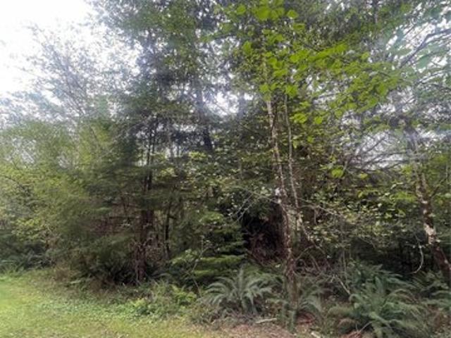 Land for sale in South Bend, Washington