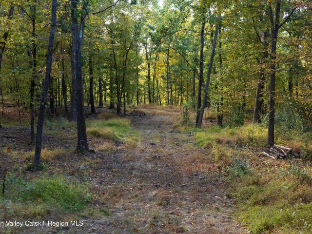 Land for sale in Town of Taghkanic, Columbia County