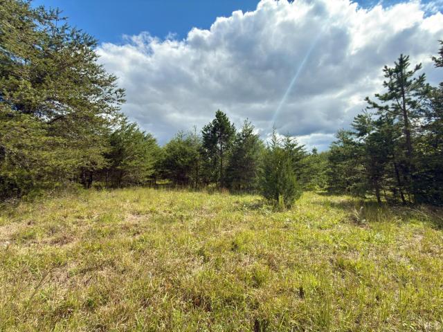 Land for sale in Rustburg, Campbell County