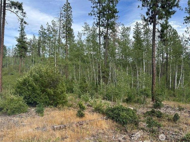 Land for sale in Goldendale, Klickitat County